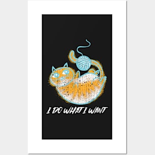 I do what I want Funny knitting cat Posters and Art